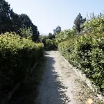 Le Tre Sorelle בארי