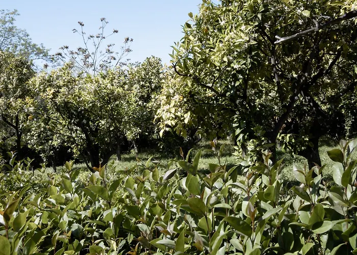 Apartamento Le Tre Sorelle