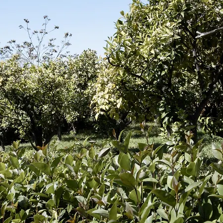 Apartamento Le Tre Sorelle